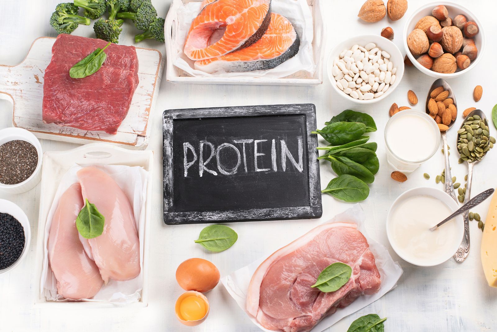O Papel da Proteína na Perda de Peso | Lida Green Inc.